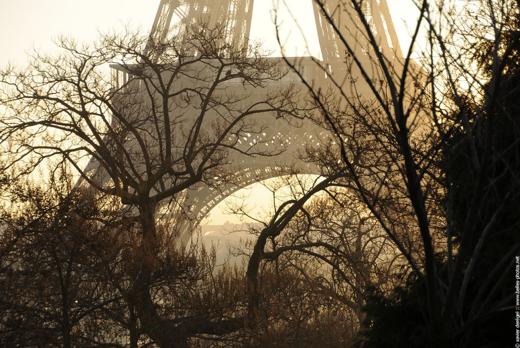 La tour Eiffel soleil levant