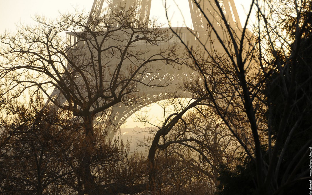 La tour Eiffel soleil levant