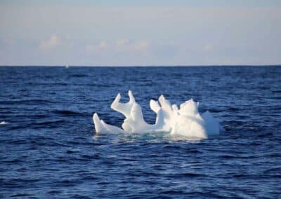 Antarctique