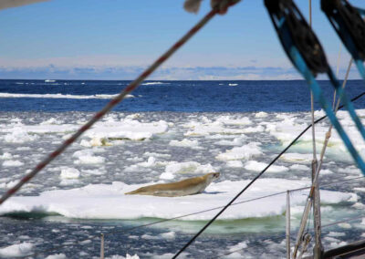 Navigation en Antarctique