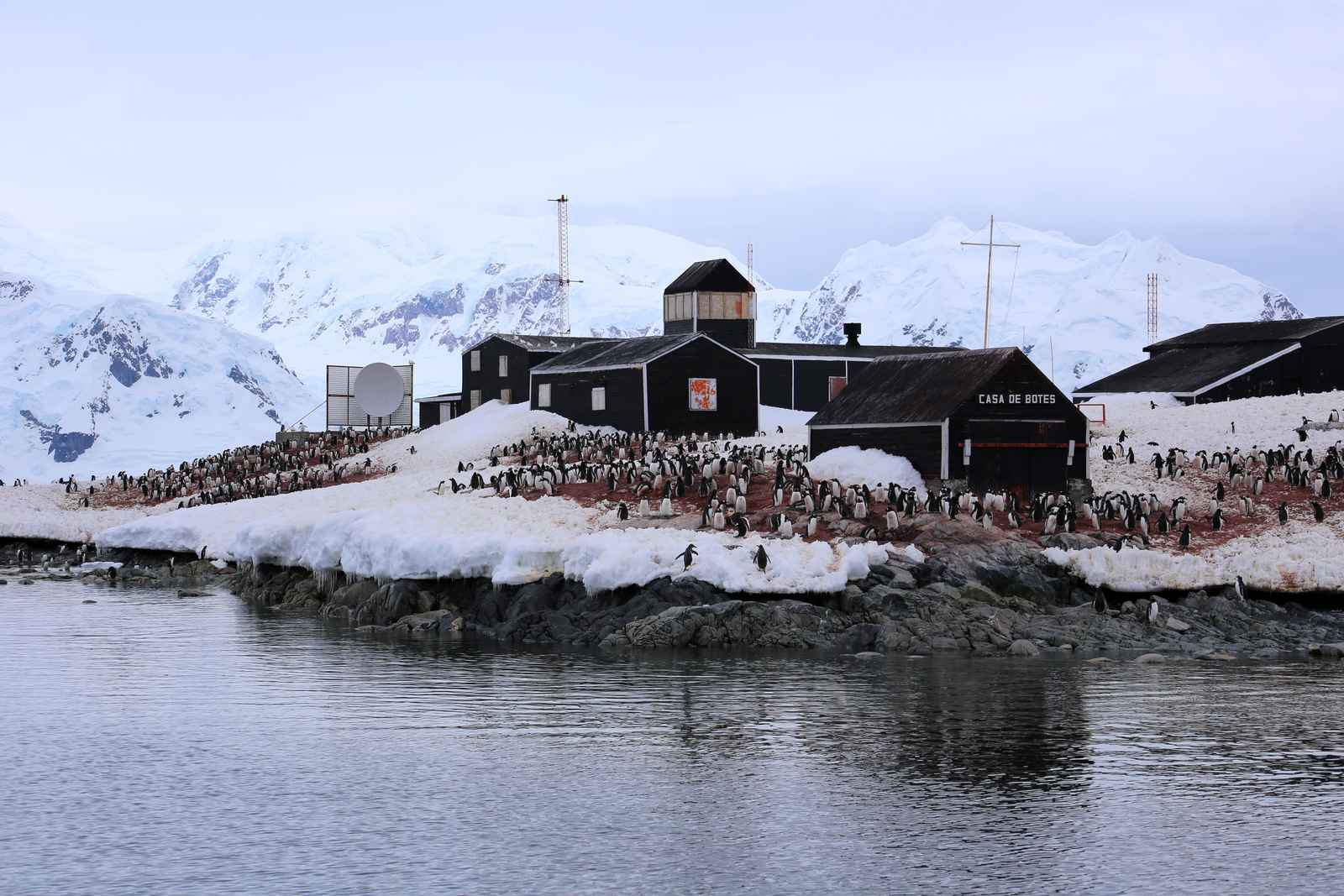 Navigation et photos d'Antarctique